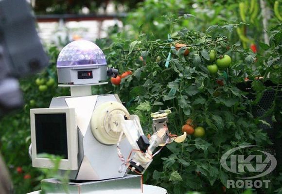 农业机器人|机器人厂